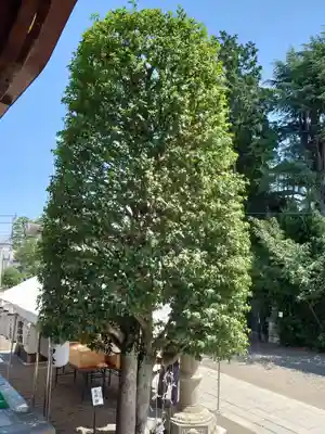 健田須賀神社(茨城県)