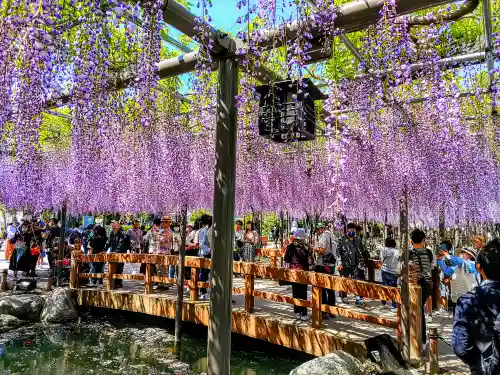 津島神社の周辺