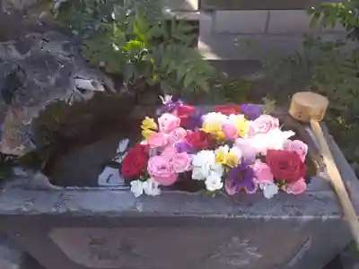 本郷氷川神社(東京都)