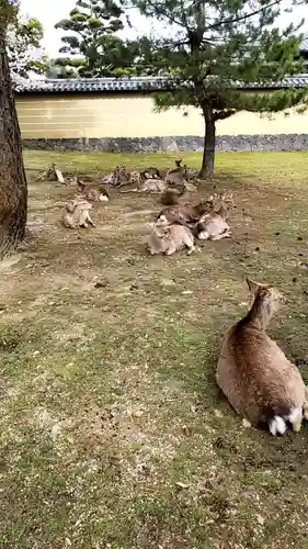 東大寺 二月堂(奈良県)