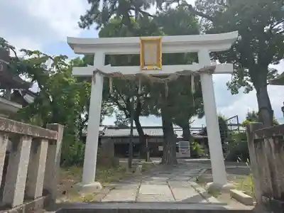 縣神社の鳥居