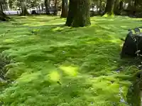 都農神社(宮崎県)