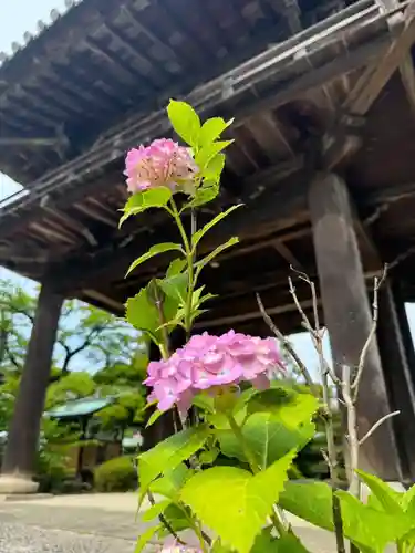 伊勢の国 四天王寺(三重県)