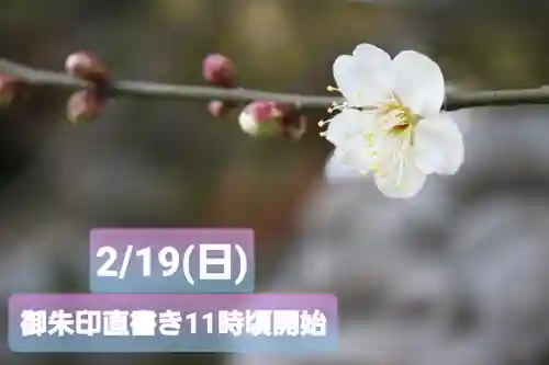 くまくま神社(導きの社 熊野町熊野神社)(東京都)