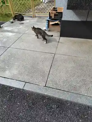 白金氷川神社(東京都)
