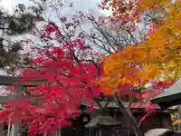 彌彦神社 (伊夜日子神社)の自然