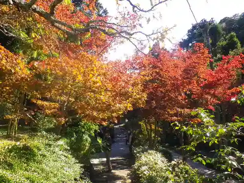 海蔵寺の景色