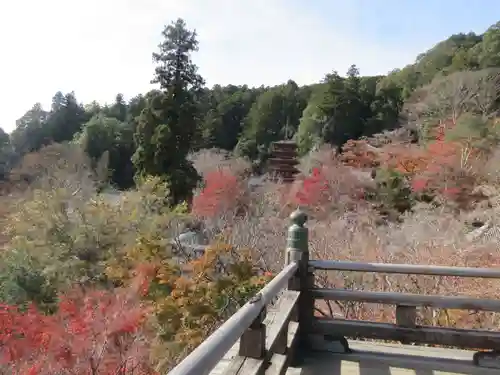 長谷寺(奈良県)