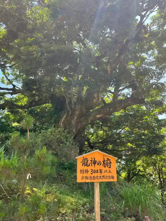 成相寺(京都府)