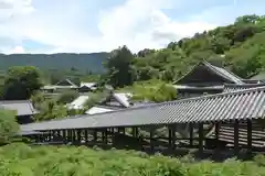 長谷寺の建物その他