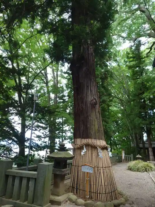 手長神社(長野県)