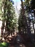 土津神社|こどもと出世の神さまの自然