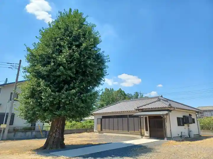 観音寺(埼玉県)
