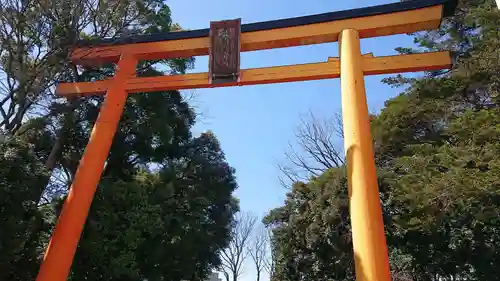 川越氷川神社の鳥居