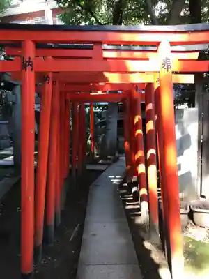 王子稲荷神社の鳥居