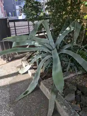 宗円寺(東京都)