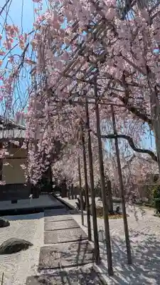 圓光寺(京都府)