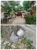 居木神社の{uncategorized: "未分類", other: "その他", undefined: "問題あり", building: "その他建物", grave: "お墓", sacred_gate: "鳥居", guardian: "狛犬", statue: "像", buddha: "仏像", history: "歴史", nature: "自然", garden: "庭園", animal: "動物", pagoda: "塔", temizu: "手水舎", mountain_gate: "山門・神門", sanctuary: "本殿・本堂", subordinate: "末社・摂社", art: "芸術", scenery: "景色", jizo: "地蔵", ema: "絵馬", goshuin: "御朱印", omikuji: "おみくじ", items: "授与品その他", amulet: "お守り", goshuincho: "御朱印帳", eats: "食事", festival: "お祭り", votive_dance: "神楽", shichigosan: "七五三参", wedding: "結婚式", experience: "体験その他", initially: "初詣", around: "周辺", anti_infection: "感染症対策"}