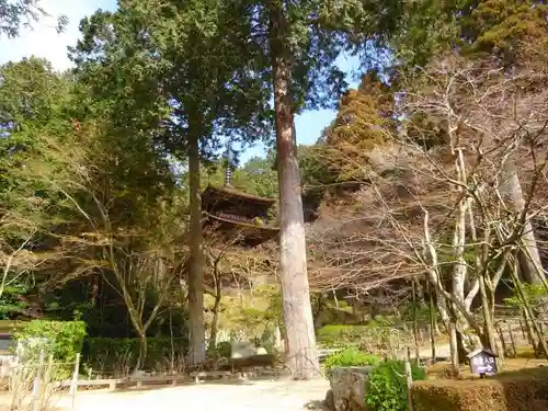 金剛輪寺(滋賀県)