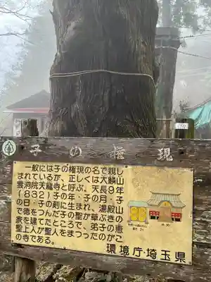 天龍寺(埼玉県)