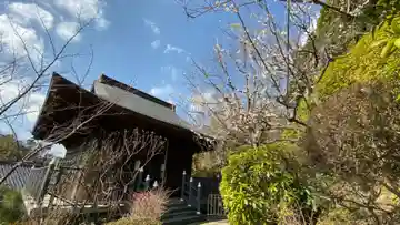 大船観音寺の本殿・本堂