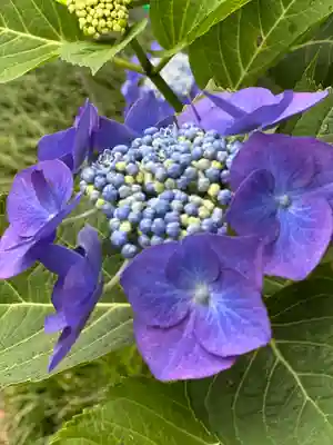 建長寺(神奈川県)