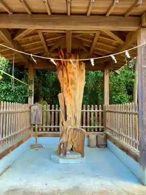 伊達神社の{uncategorized: "未分類", other: "その他", undefined: "問題あり", building: "その他建物", grave: "お墓", sacred_gate: "鳥居", guardian: "狛犬", statue: "像", buddha: "仏像", history: "歴史", nature: "自然", garden: "庭園", animal: "動物", pagoda: "塔", temizu: "手水舎", mountain_gate: "山門・神門", sanctuary: "本殿・本堂", subordinate: "末社・摂社", art: "芸術", scenery: "景色", jizo: "地蔵", ema: "絵馬", goshuin: "御朱印", omikuji: "おみくじ", items: "授与品その他", amulet: "お守り", goshuincho: "御朱印帳", eats: "食事", festival: "お祭り", votive_dance: "神楽", shichigosan: "七五三参", wedding: "結婚式", experience: "体験その他", initially: "初詣", around: "周辺", anti_infection: "感染症対策"}