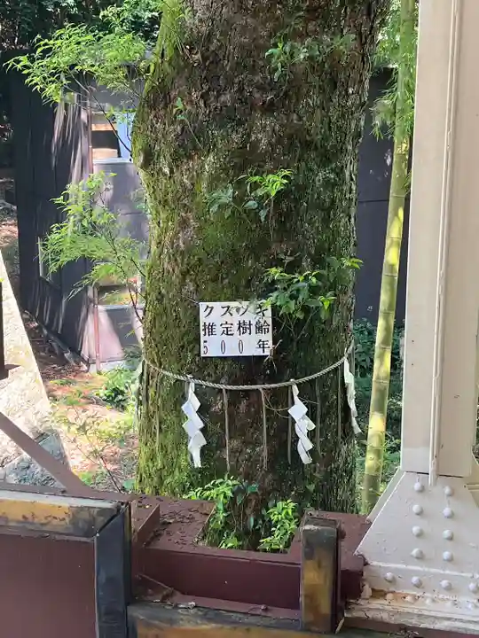 久能山東照宮(静岡県)