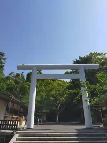 安房神社の鳥居