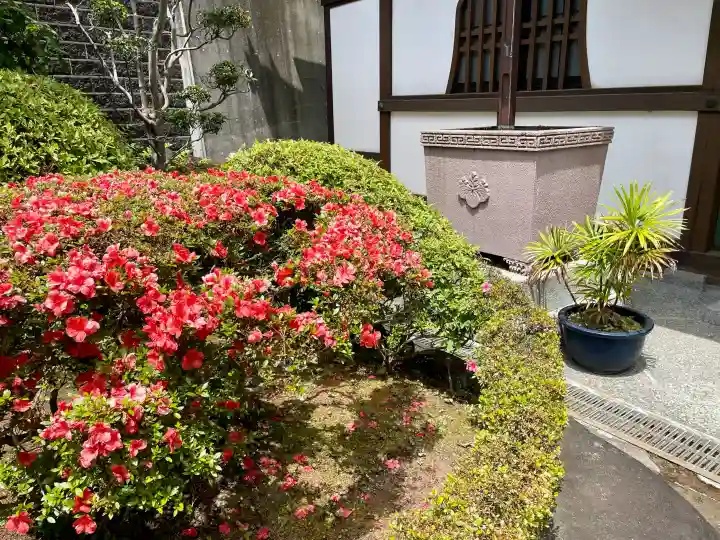 正覚寺(東京都)