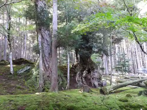 若狭神宮寺(福井県)