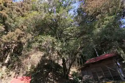 都々古別神社の自然