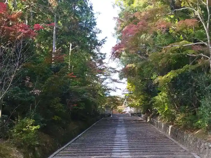 光明寺(粟生光明寺)(京都府)
