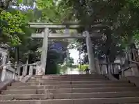 渋谷氷川神社の鳥居