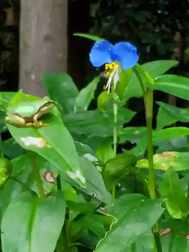 沙沙貴神社(滋賀県)