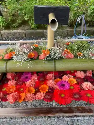 白山神社(新潟県)