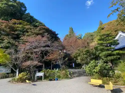 新大佛寺の自然