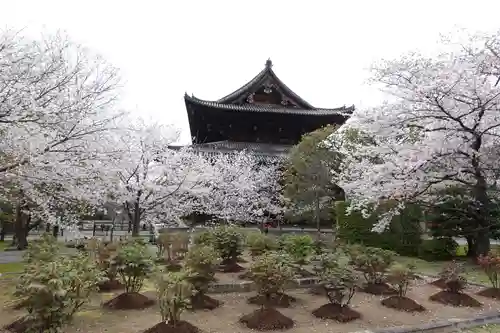 東寺（教王護国寺）(京都府)