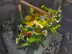 横浜御嶽神社の手水