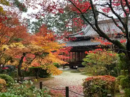 天授庵(京都府)