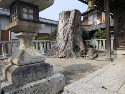 塞神神社の{uncategorized: "未分類", other: "その他", undefined: "問題あり", building: "その他建物", grave: "お墓", sacred_gate: "鳥居", guardian: "狛犬", statue: "像", buddha: "仏像", history: "歴史", nature: "自然", garden: "庭園", animal: "動物", pagoda: "塔", temizu: "手水舎", mountain_gate: "山門・神門", sanctuary: "本殿・本堂", subordinate: "末社・摂社", art: "芸術", scenery: "景色", jizo: "地蔵", ema: "絵馬", goshuin: "御朱印", omikuji: "おみくじ", items: "授与品その他", amulet: "お守り", goshuincho: "御朱印帳", eats: "食事", festival: "お祭り", votive_dance: "神楽", shichigosan: "七五三参", wedding: "結婚式", experience: "体験その他", initially: "初詣", around: "周辺", anti_infection: "感染症対策"}