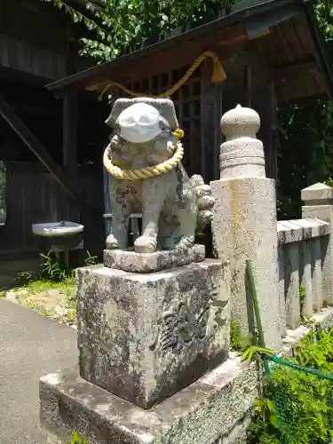 神根神社の狛犬