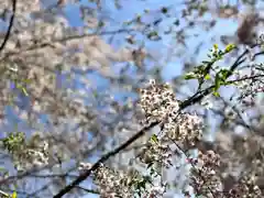 北赤井神社の自然