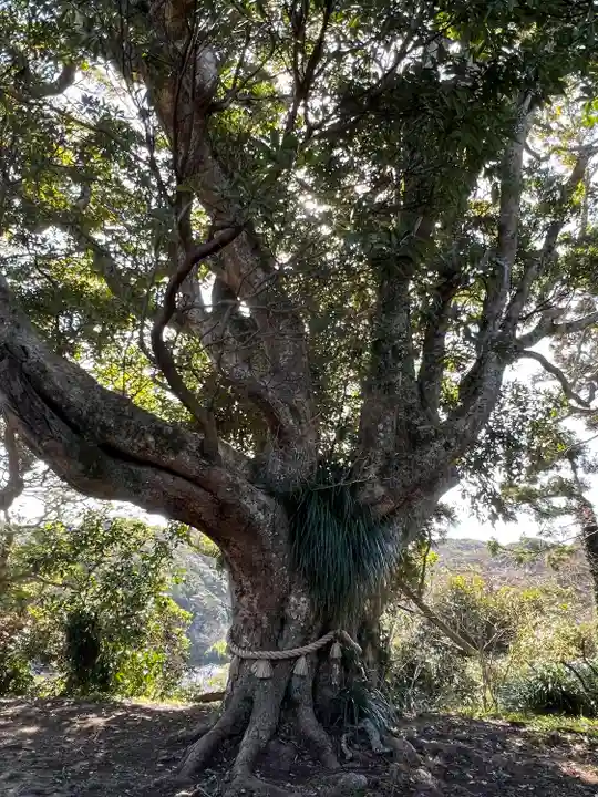 遠見岬神社(千葉県)