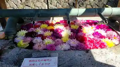 岡寺(龍蓋寺)(奈良県)