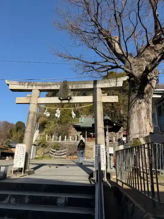 諏訪神社の{uncategorized: "未分類", other: "その他", undefined: "問題あり", building: "その他建物", grave: "お墓", sacred_gate: "鳥居", guardian: "狛犬", statue: "像", buddha: "仏像", history: "歴史", nature: "自然", garden: "庭園", animal: "動物", pagoda: "塔", temizu: "手水舎", mountain_gate: "山門・神門", sanctuary: "本殿・本堂", subordinate: "末社・摂社", art: "芸術", scenery: "景色", jizo: "地蔵", ema: "絵馬", goshuin: "御朱印", omikuji: "おみくじ", items: "授与品その他", amulet: "お守り", goshuincho: "御朱印帳", eats: "食事", festival: "お祭り", votive_dance: "神楽", shichigosan: "七五三参", wedding: "結婚式", experience: "体験その他", initially: "初詣", around: "周辺", anti_infection: "感染症対策"}
