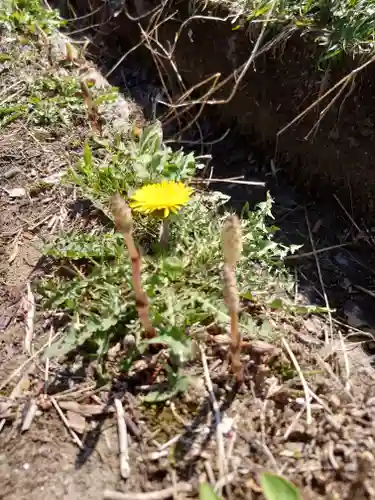 熊野神社(福島県)