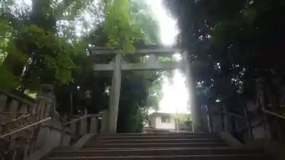 渋谷氷川神社(東京都)
