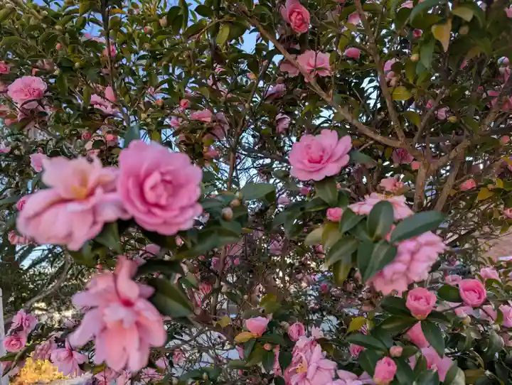 豊景神社(福島県)