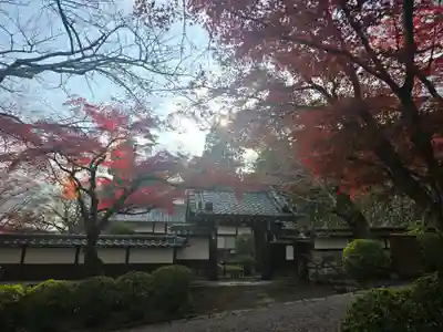 禅林坊(滋賀県)